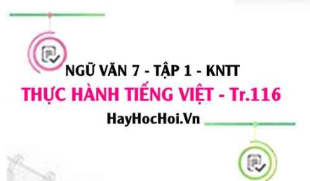 Soạn bài Thực hành tiếng Việt trang 116 Ngữ văn lớp 7 Kết nối tri thức tập 1